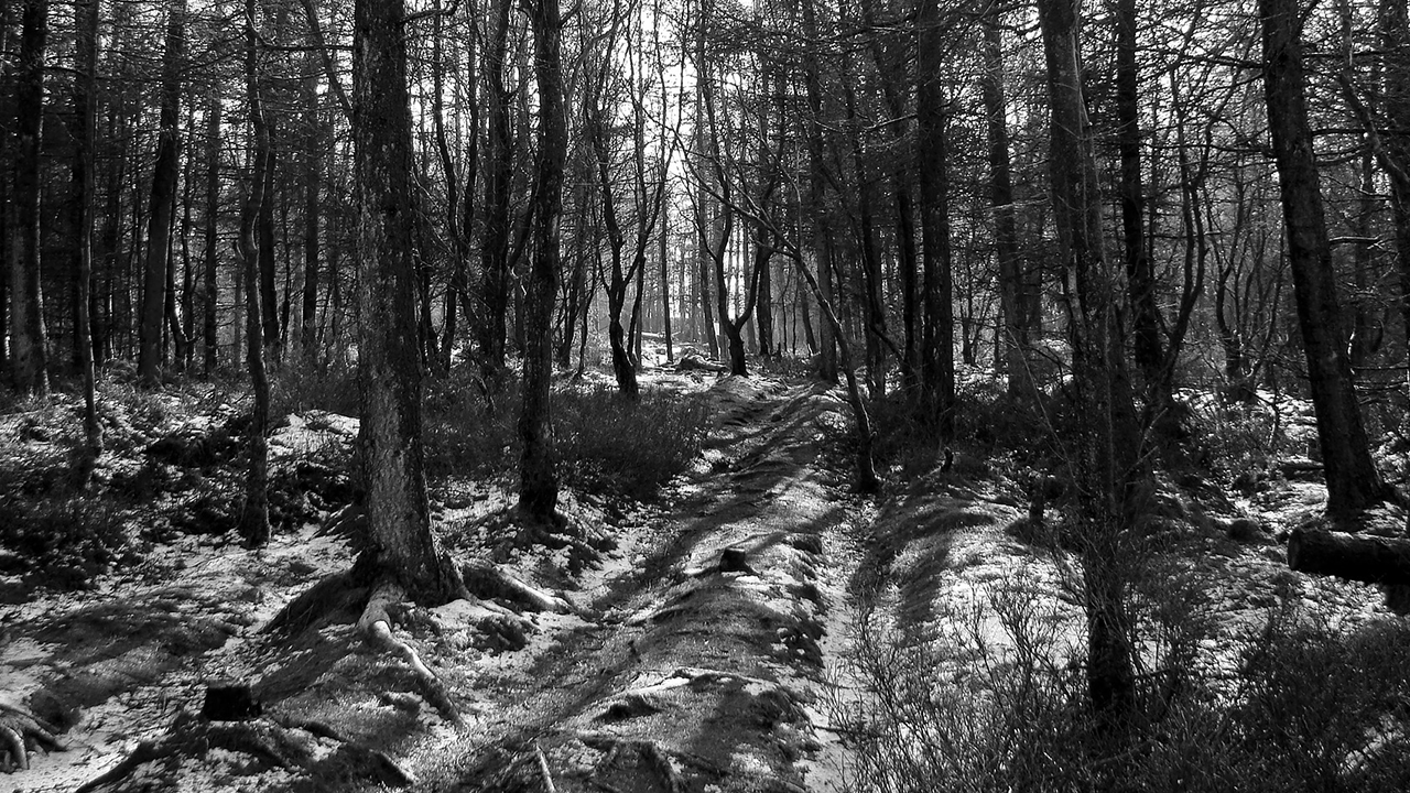 The CU Weekly 328:  Spooky, Scary, But Not Really.